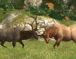 Sale Big Game Hunter Ps2 Games