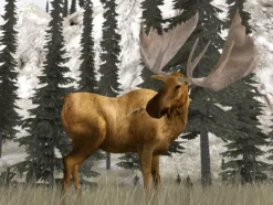 Fashion Cabela's Legendary Adventures Ps2 Games