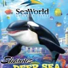 Clearance Shamu's Deep Sea Adventure Ps2 Games